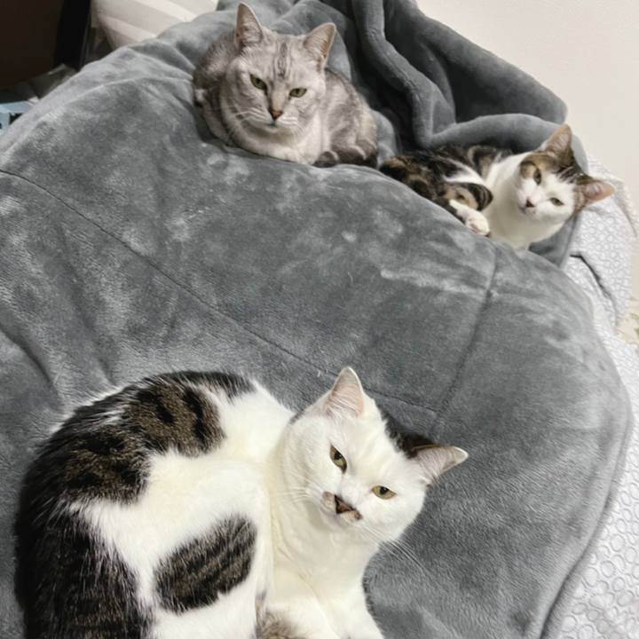 Fe7cc5b5 952e 4ad2 b18c 381869a2cd55 1644727618421