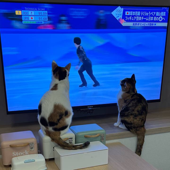 Fe7cde48 39bc 41eb 8c7b 4030e463809f 1770385603622