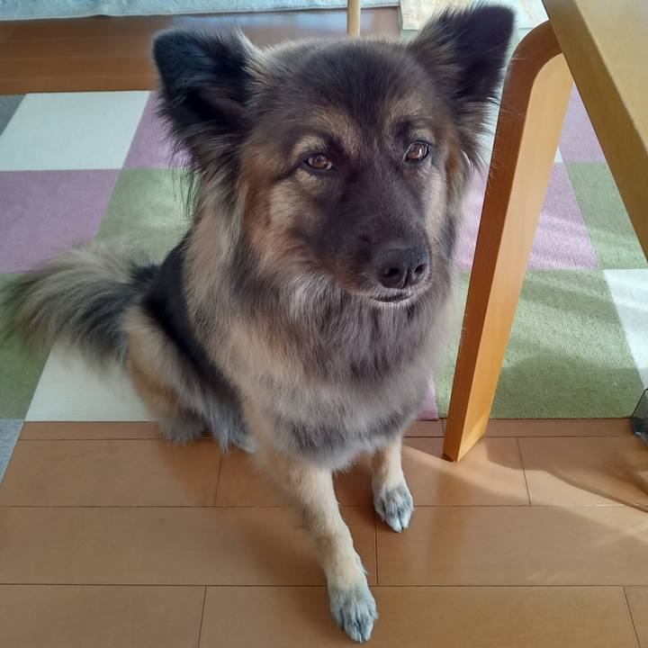 Fe7ce2f0 23cb 487e bb30 b0332a4a5889 1762045890418