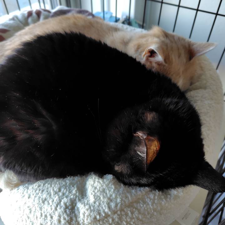 Fe7d057f d422 4d19 8542 785d4a8bf7f1 1732747338162