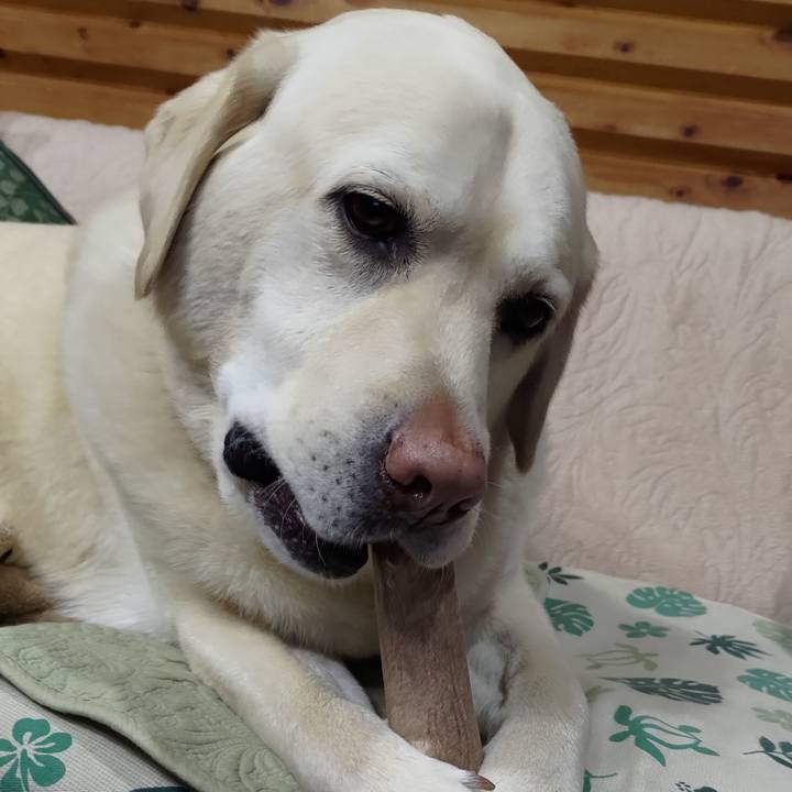 Fe7d0e83 561a 4abf 8ccc 854f3313b520 1649246641496