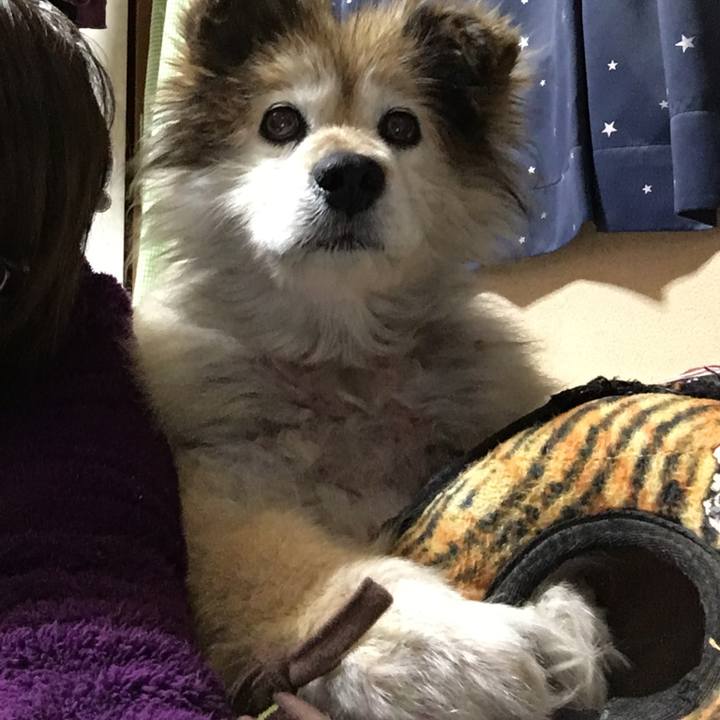 Fe7d220f ce66 4b03 abf2 548aaa3a0550 1583789500783