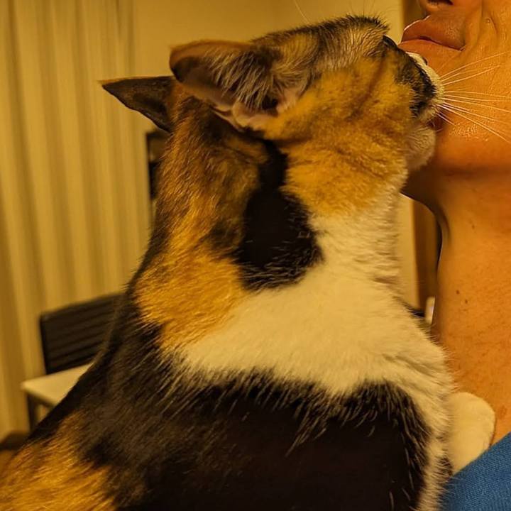 Fe7d7e9b fd73 4f44 8d9b 7f591a6733c7 1712465133638