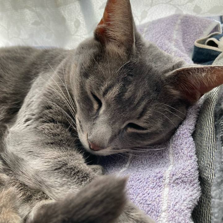 Fe7dc657 4132 46dc b5f8 a6e843089280 1634964158792