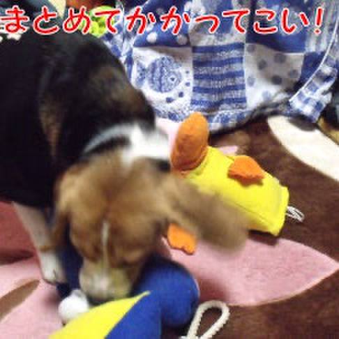 Fe7df857 4680 4624 b868 403a12c98469 1706658815115