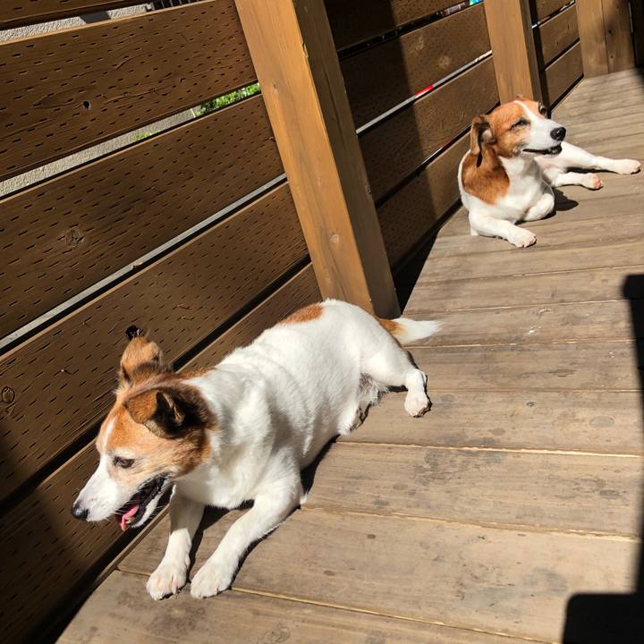 Fe7e176c 4183 4385 9e36 e7d193c44d23 1570977353370