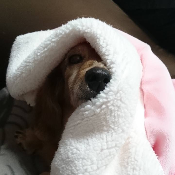 Fe7e8b8b b3f9 4d1b 98ca c2bc153c2b01 1664988559113