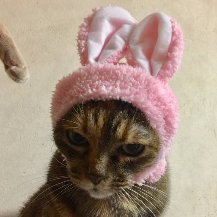 Fe7e9145 d27c 4455 81ce 71cac4afafb7 1667722939032