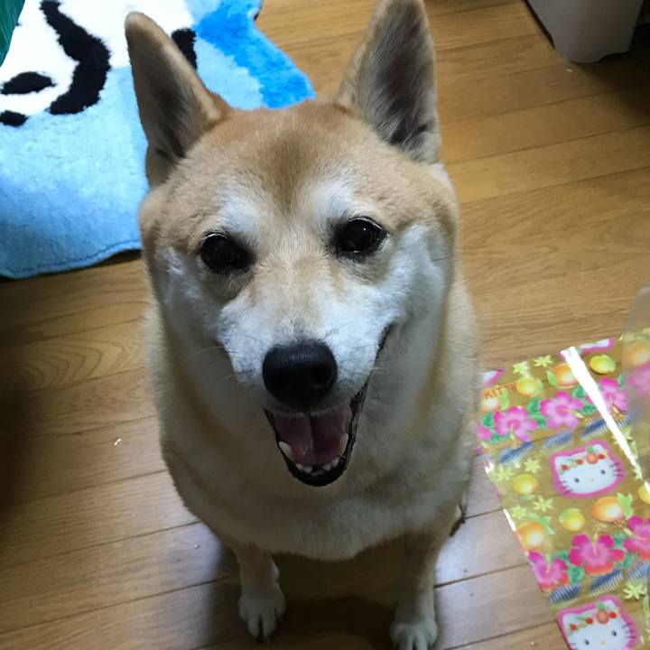 Fe7eb67a 7931 40ca ba14 801a93bca929 1507640271214