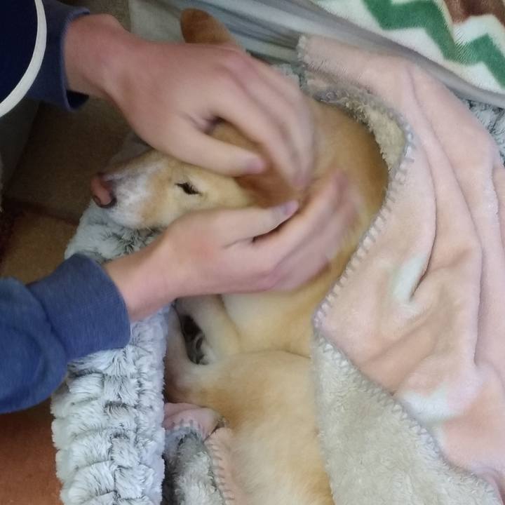 Fe7ed569 3cd6 4d45 a34f 9a4e4a950b2b 1581380834290