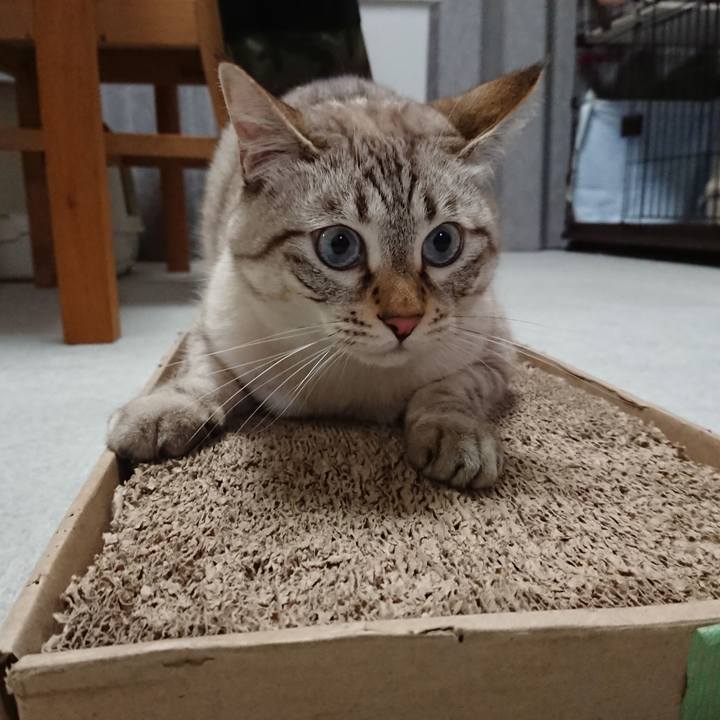 Fe7ee760 9c2a 40db be17 c7c1cfd0b2e4 1571473545591