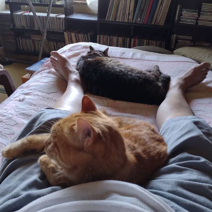 Fe7ef40a f5c4 4698 aa56 2d4db1c9530e 1689992694151