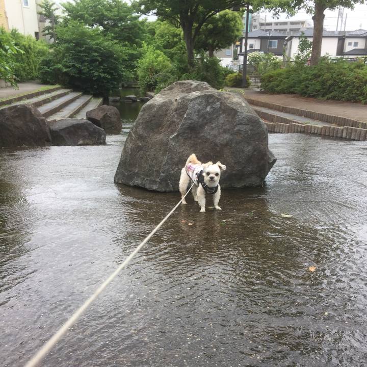 Fe7efdc9 16bd 4a2c a7cf cb6a99e0def0 1559984955161