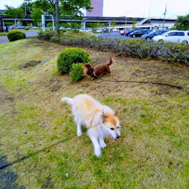 Fe7f26cd c855 4605 bcdd a024595c28e3 1556622243838