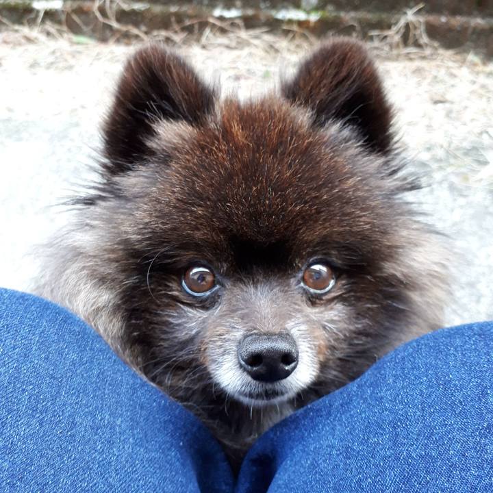 Fe7f42b0 dbfa 4e2a ba27 8cf2d3ccd0e1 1520897534054