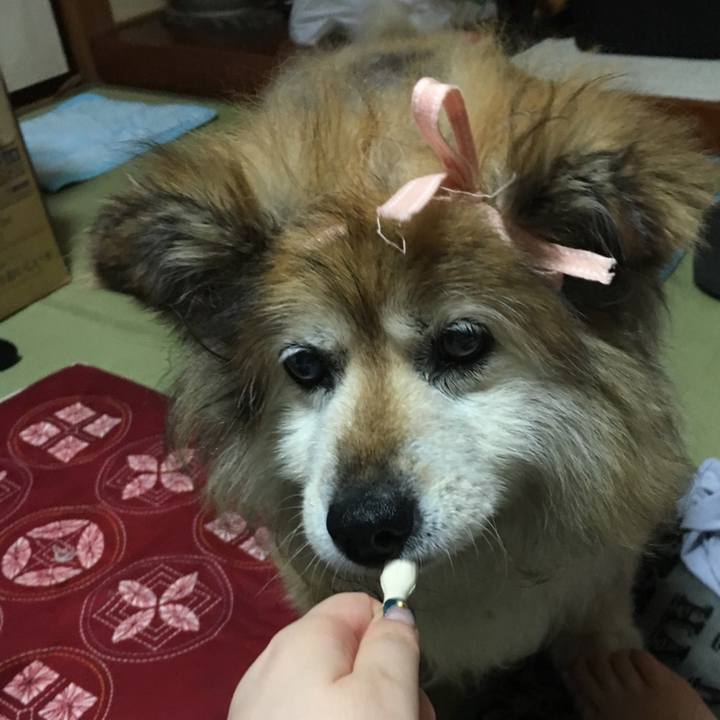 Fe7f496b 770f 4e67 9a89 8283f86a7078 1648989067485