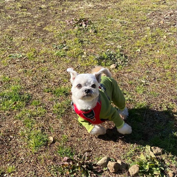 Fe7f746c 0579 4f4a 929d 6029e95dd66e 1609392537793