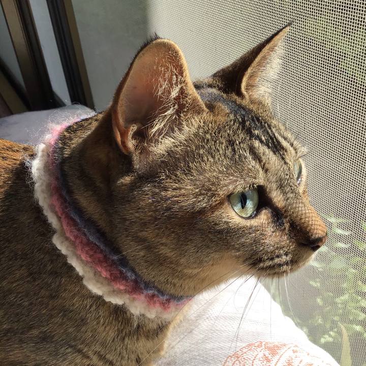 Fe7f8954 03a4 496a b340 14946e6d1d76 1620256321496