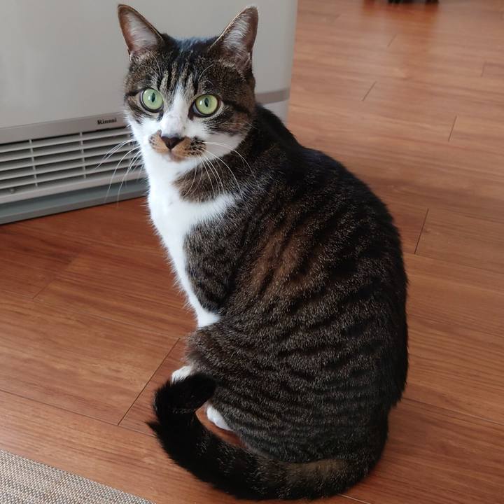 Fe7f8e00 9f42 48c4 a0ce 590a4c5a69ff 1763182230134