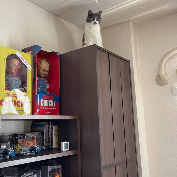 Fe7fb92c c274 424c 8651 a4d9297bf0a1 1658635167316