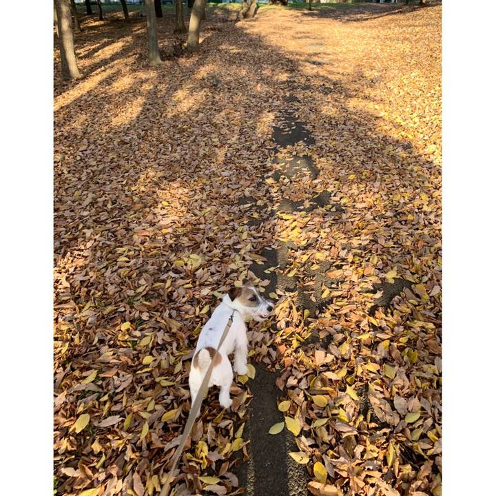 Fe7fc2a9 3962 4d3d b3bf b81c853343de 1576134574937