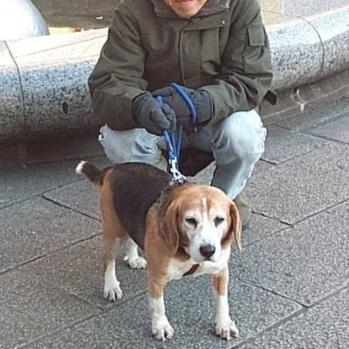 Fe7fc5ae 2cfd 4afe b535 e4923d3eca1d 1637456997984