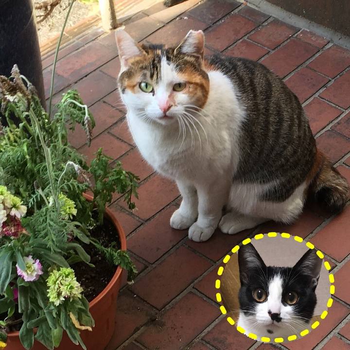 Fe805f19 1c6b 46a9 be84 88493b70ff51 1581327669053