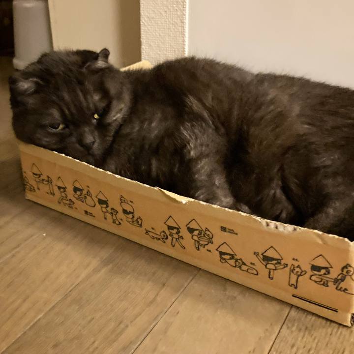 Fe808049 c811 4996 a261 97f0d95fdada 1626744377484