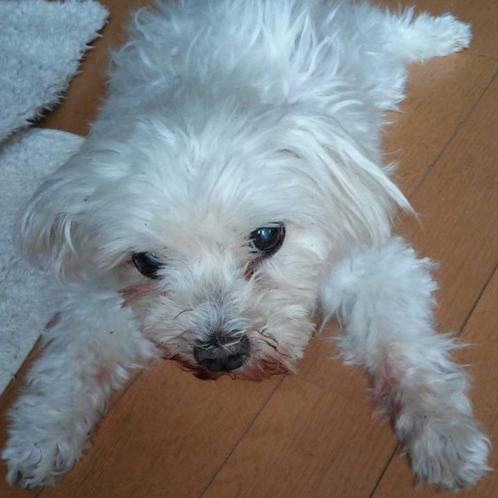 Fe8086b8 66c4 45ce 8519 c395b55845e1 1729951308121