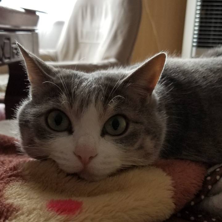 Fe808e34 bcf8 45a9 bc82 67bc1193f341 1530092842480