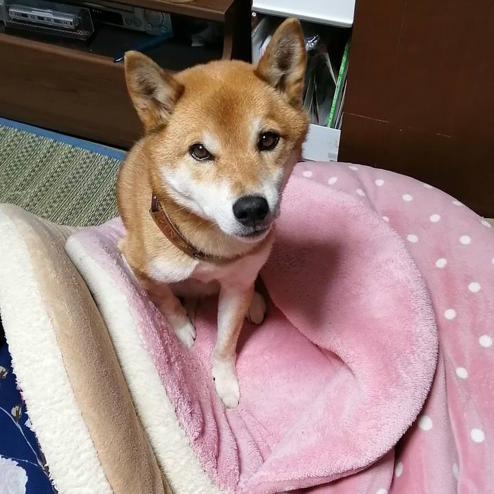 Fe809dbf 9cf2 463a b739 622d466e7095 1608388265735