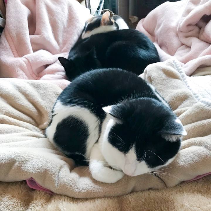 Fe80a53b 7817 467b b11c e1e9ea721405 1513522173072