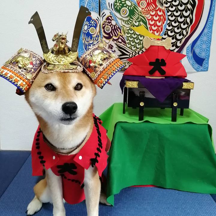 Fe80b071 23d1 4c92 a2cb a96205e343f6 1682829410862