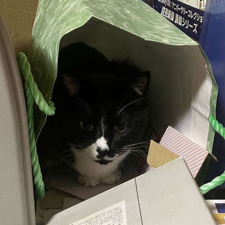 Fe811ba2 d25b 4734 abf9 8679556a7f19 1698143442451