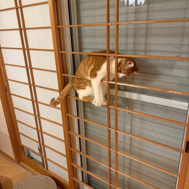 Fe811e01 74a0 4442 9806 50dfab98b2c1 1771984043512