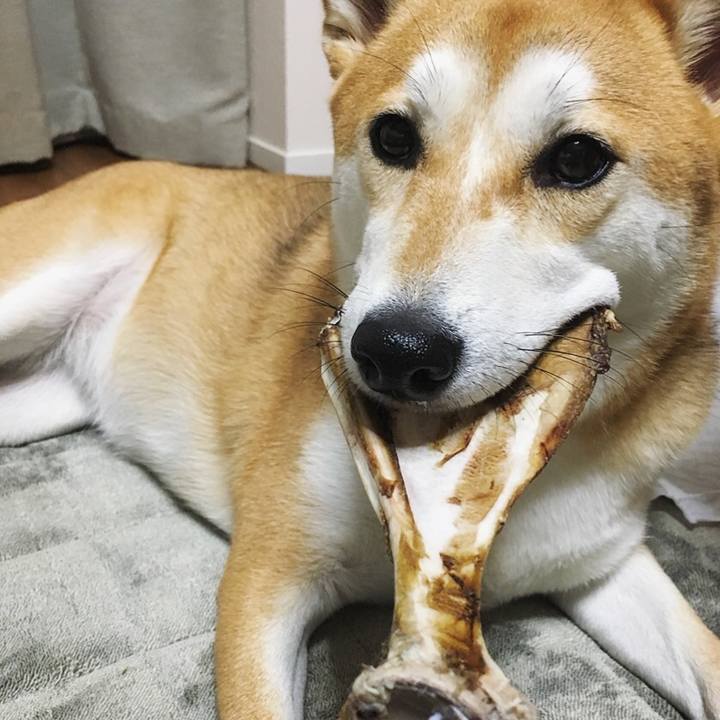 Fe815056 756c 4b2f 9600 6e00c946e726 1539963466682