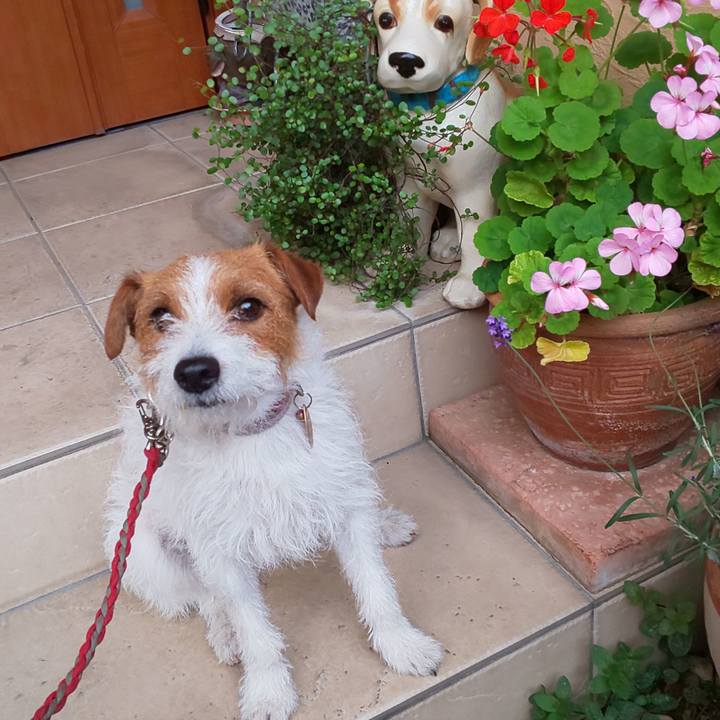 Fe81967f 377c 4b8f 8381 499e1c9eb163 1559122317367