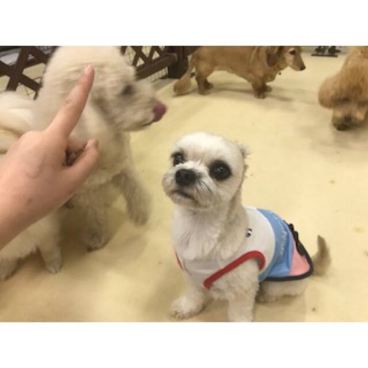 Fe81e678 d632 447c 9bf3 1db71bed5c76 1529320134679