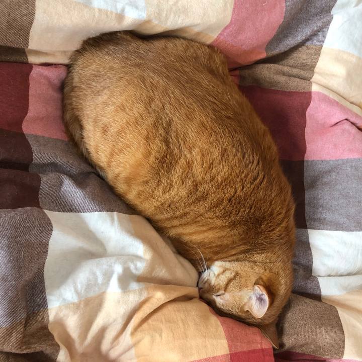 Fe81eb51 dd05 4a8c b91f 68b12aa8cbdb 1711238226393