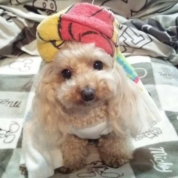 Fe81f868 0156 4cf5 970f a6f9b1956966 1555581015217