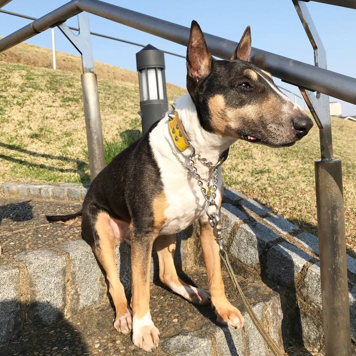 Fe81feca 0a56 48ba a4fb f1fa4b3a50b7 1521966487507