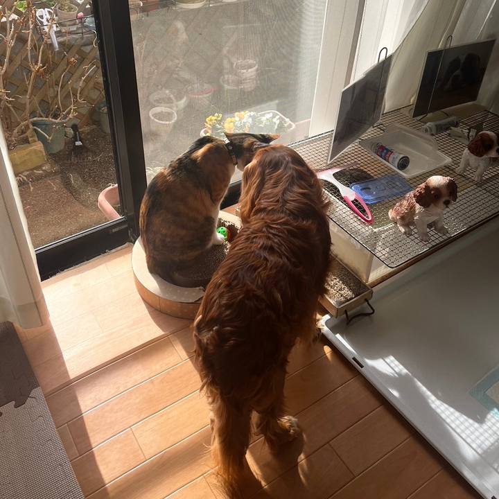 Fe821a1f 0147 4d81 b372 b885121e75be 1675865773967