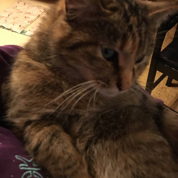 Fe82481f d1ff 4cfa 8262 ff50dccee76d 1548221251727