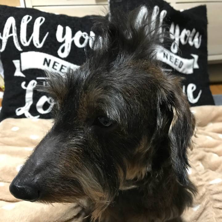 Fe8250ff ecea 4dad b0eb fb932f0f750e 1518965012216