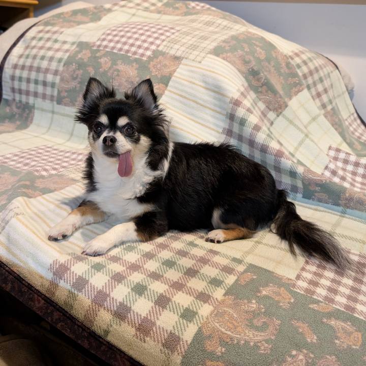 Fe826643 4423 4e4c 9b65 32e07c07a1e0 1771582536688