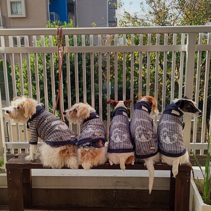 Fe82bbe9 8389 4259 8d1a b1a093d9c6d1 1699522374792