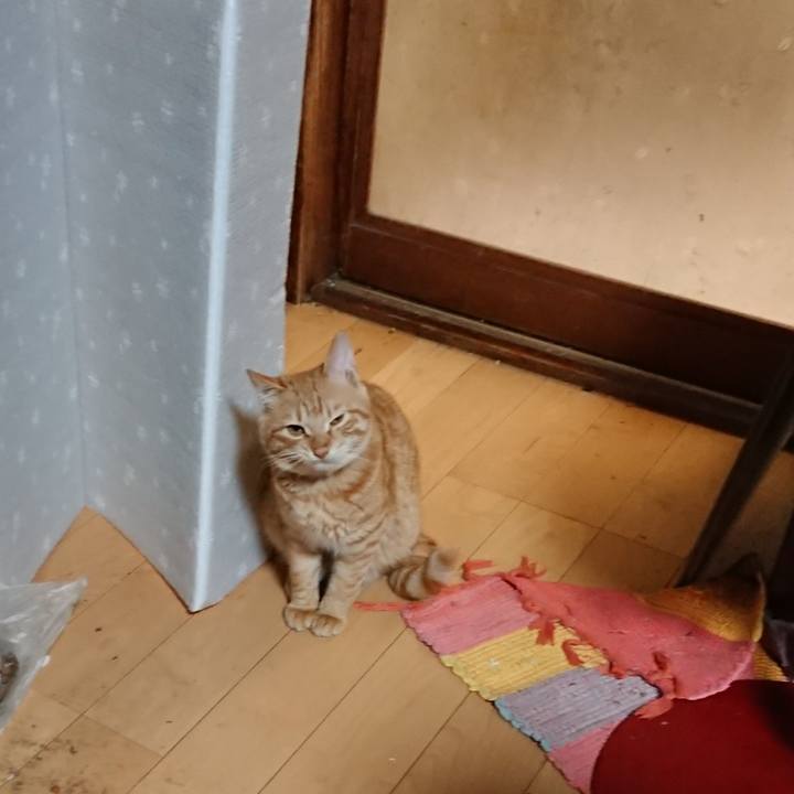 Fe8311a7 c985 450c a6ab 52044c1f7183 1638958916056