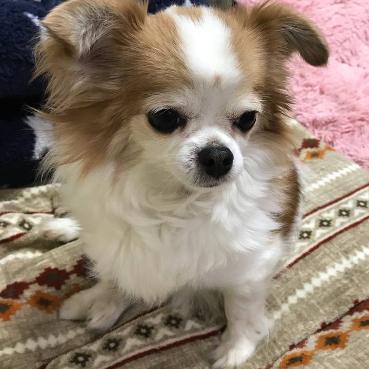 Fe8321a3 402d 47bd ba5c 6836007a6d74 1556693874311