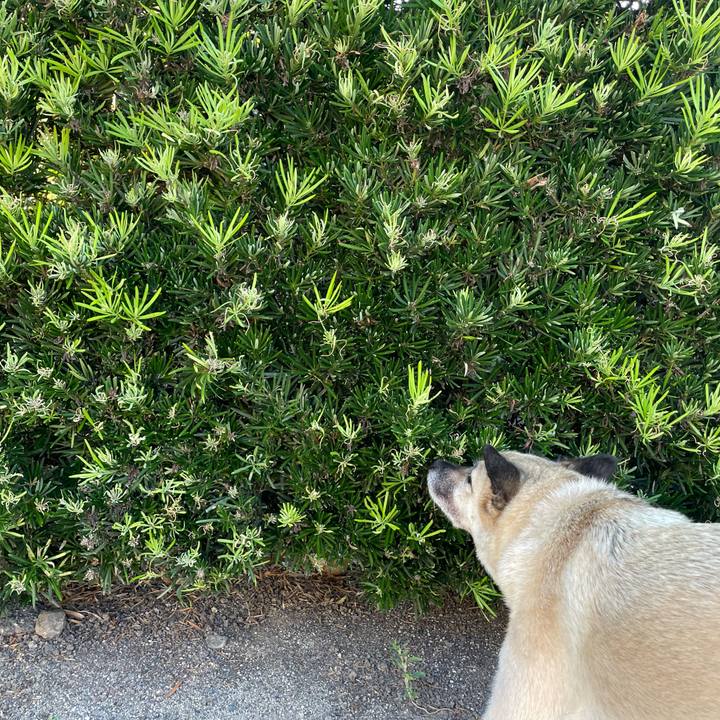 Fe8347f3 6ddc 43be 98ff 4bad9d4edf07 1692011674223