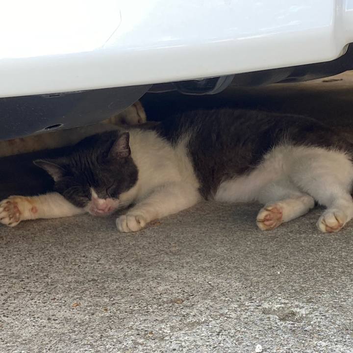 Fe837bdd eb26 4117 b9c9 8a0225a300c6 1662812862754